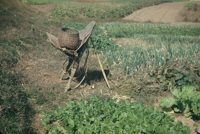 frame carrier (Korean back pack)