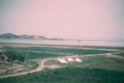 A field with the sea