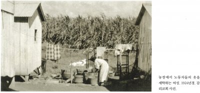 농장에서 노동자들의 옷을 세탁하는 여성. 1924년경. 감리교회 사진.