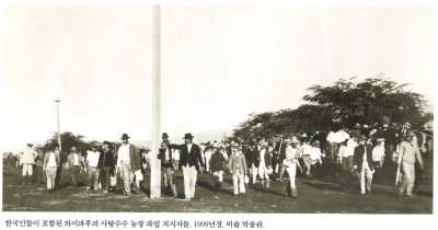 한국인들이 포함된 와이파후의 사탕수수 농장 파업 지지자들. 1990년경. 비숍 박물관.
