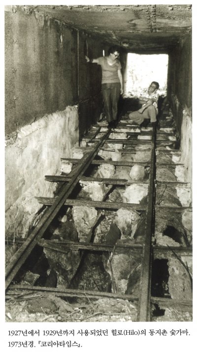 1927년에서 1929년까지 사용되었던 힐로(Hilo)의 동지촌 숯가마. 1973년경. 『 코리아타임스』.